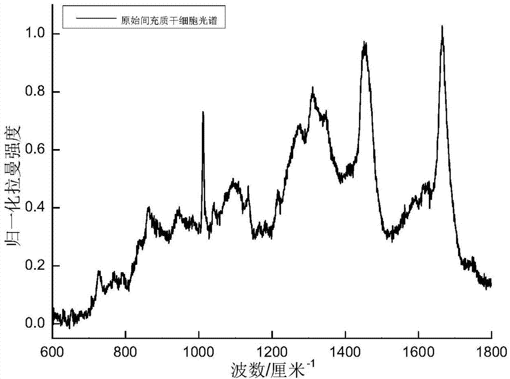 Method for obtaining true Raman spectrum of cell by multiple linear regression fitting