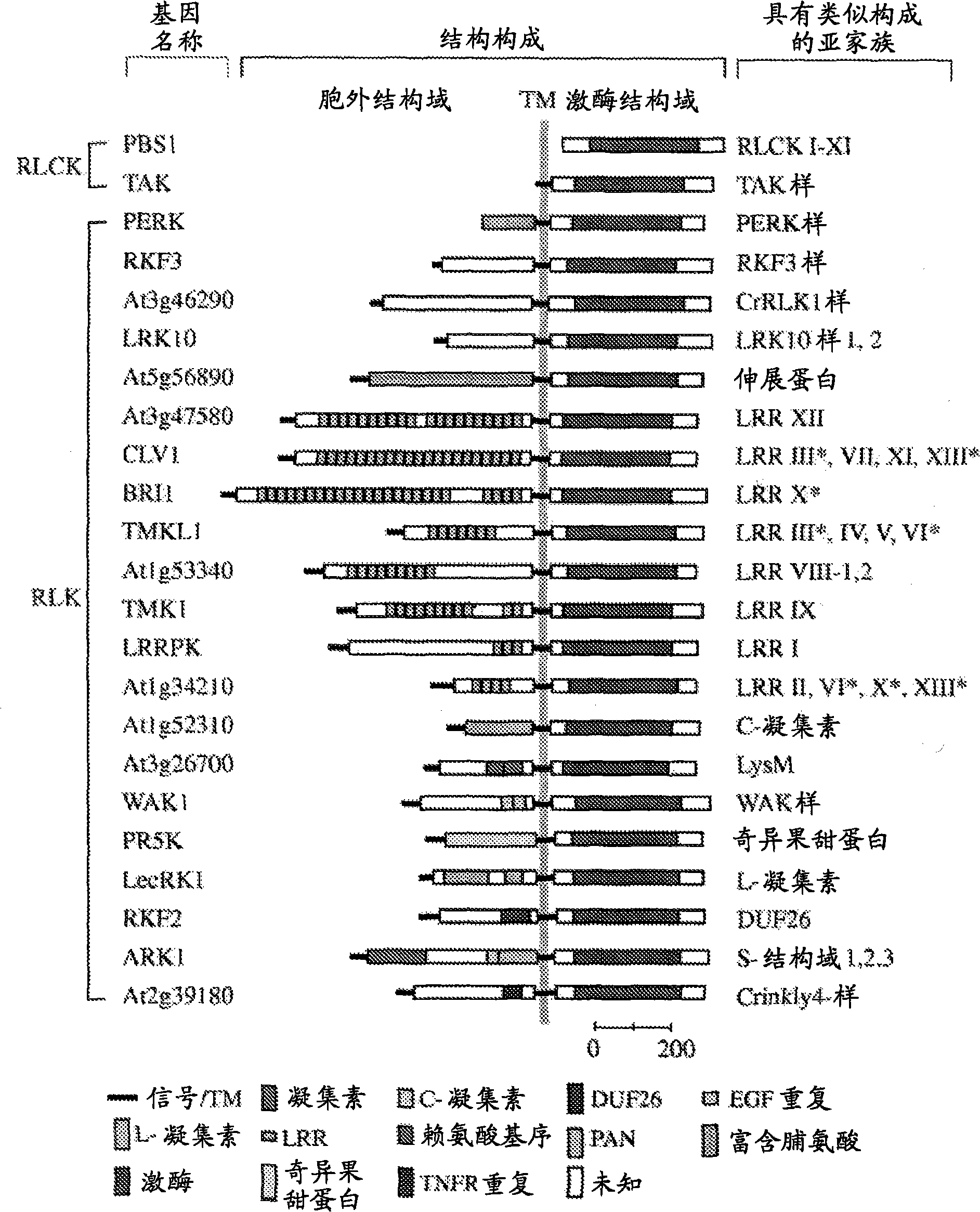 Plants having enhanced yield-related traits and a method formaking the same