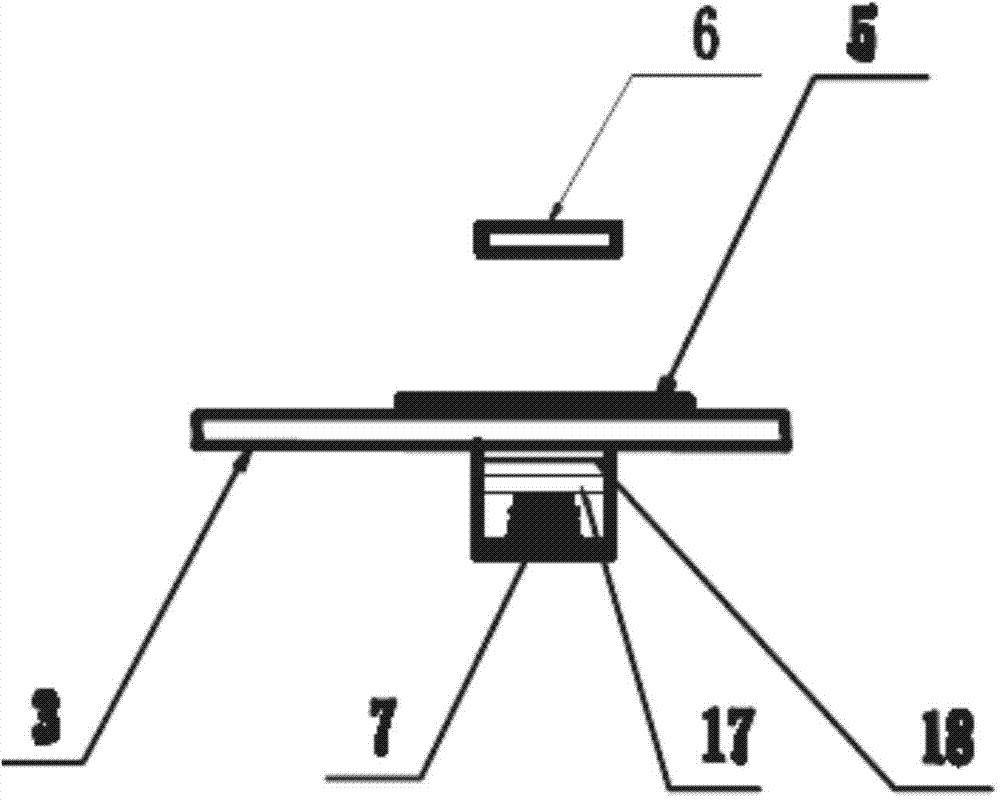 Biological chip detector