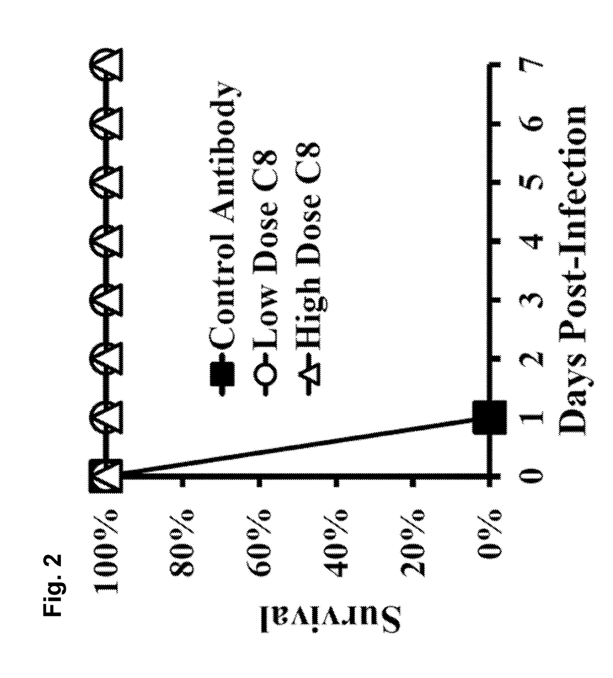 Antibody binding agents that bind acinetobactor and uses thereof