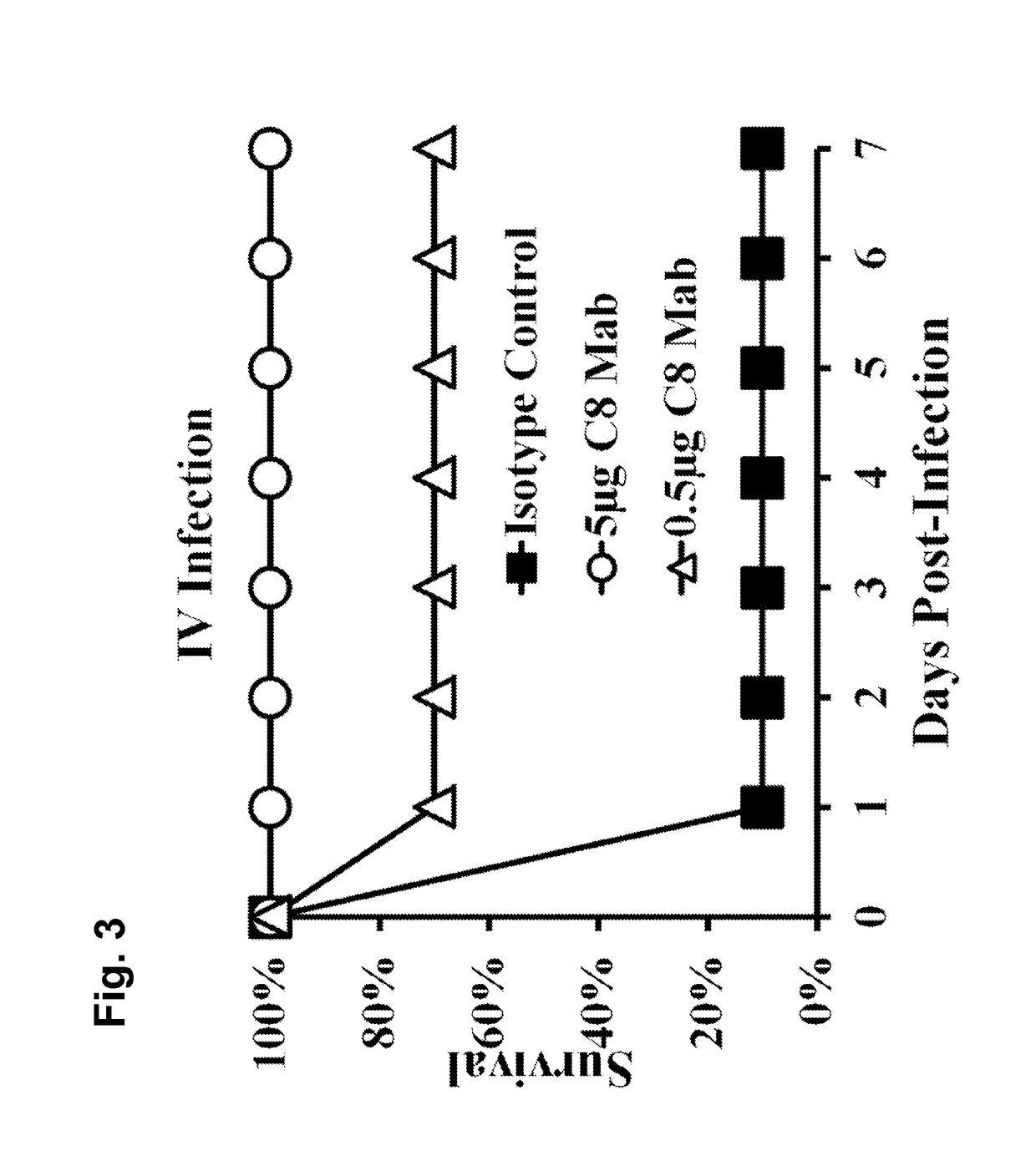 Antibody binding agents that bind acinetobactor and uses thereof