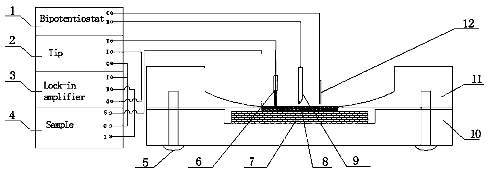 Electrochemical detection method through partial morphology scanning