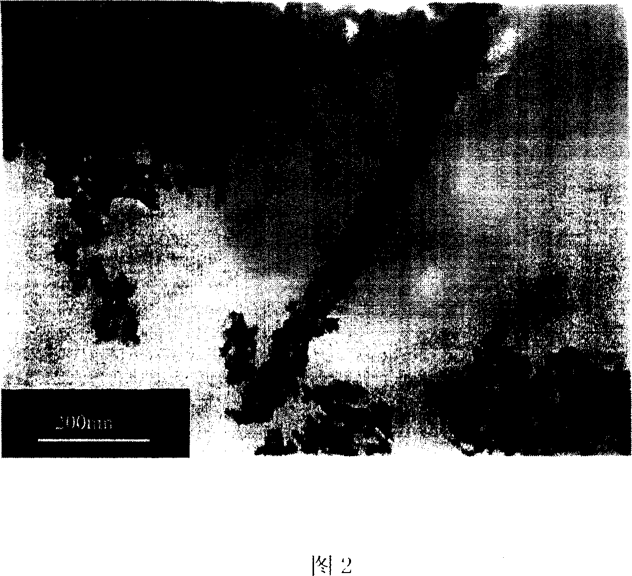 Method for cladding Nano carbon tube by using hydroxyapatite