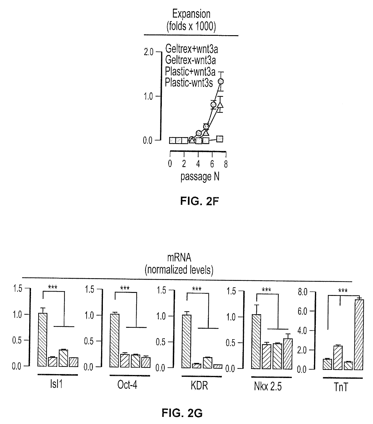 Derivation and self-renewal of isi1+ cells and uses thereof