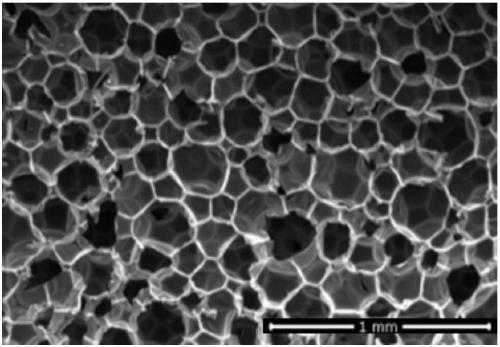 Foaming agent containing secondary amine salts and propanol amine salts and application for foam material of polyurethane refrigerators and freezers