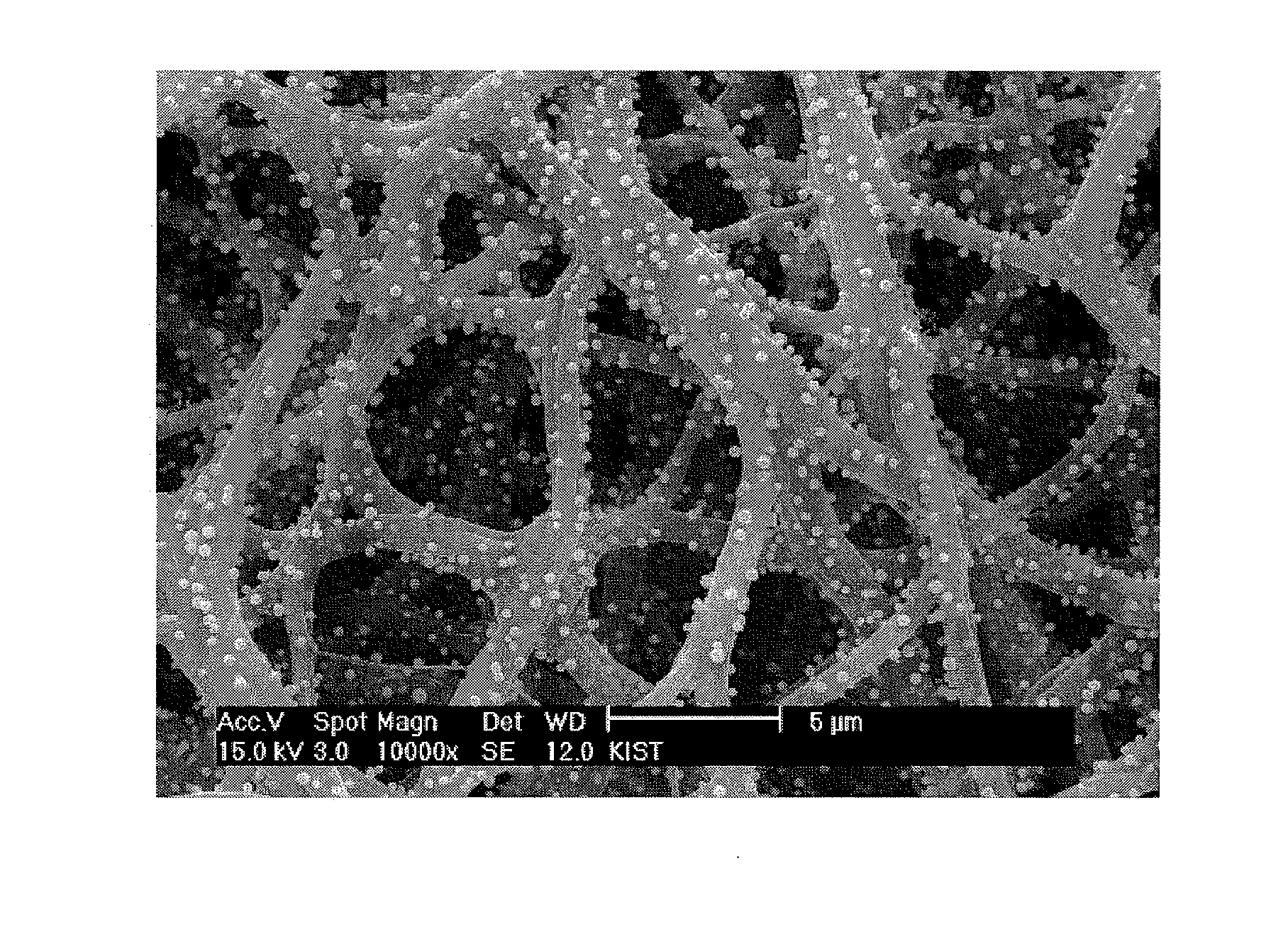 Nanofiber and preparation method thereof