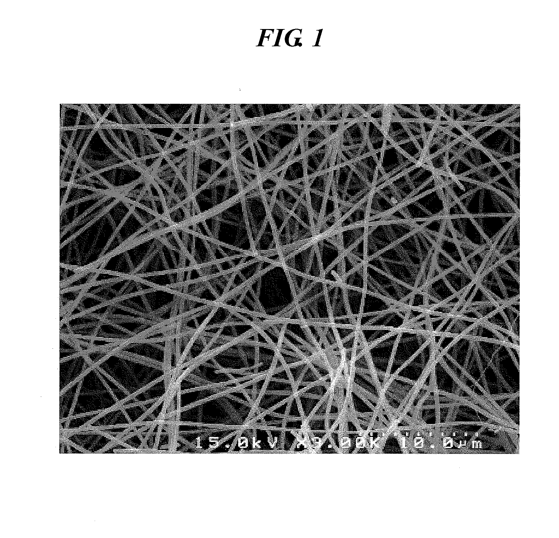 Nanofiber and preparation method thereof