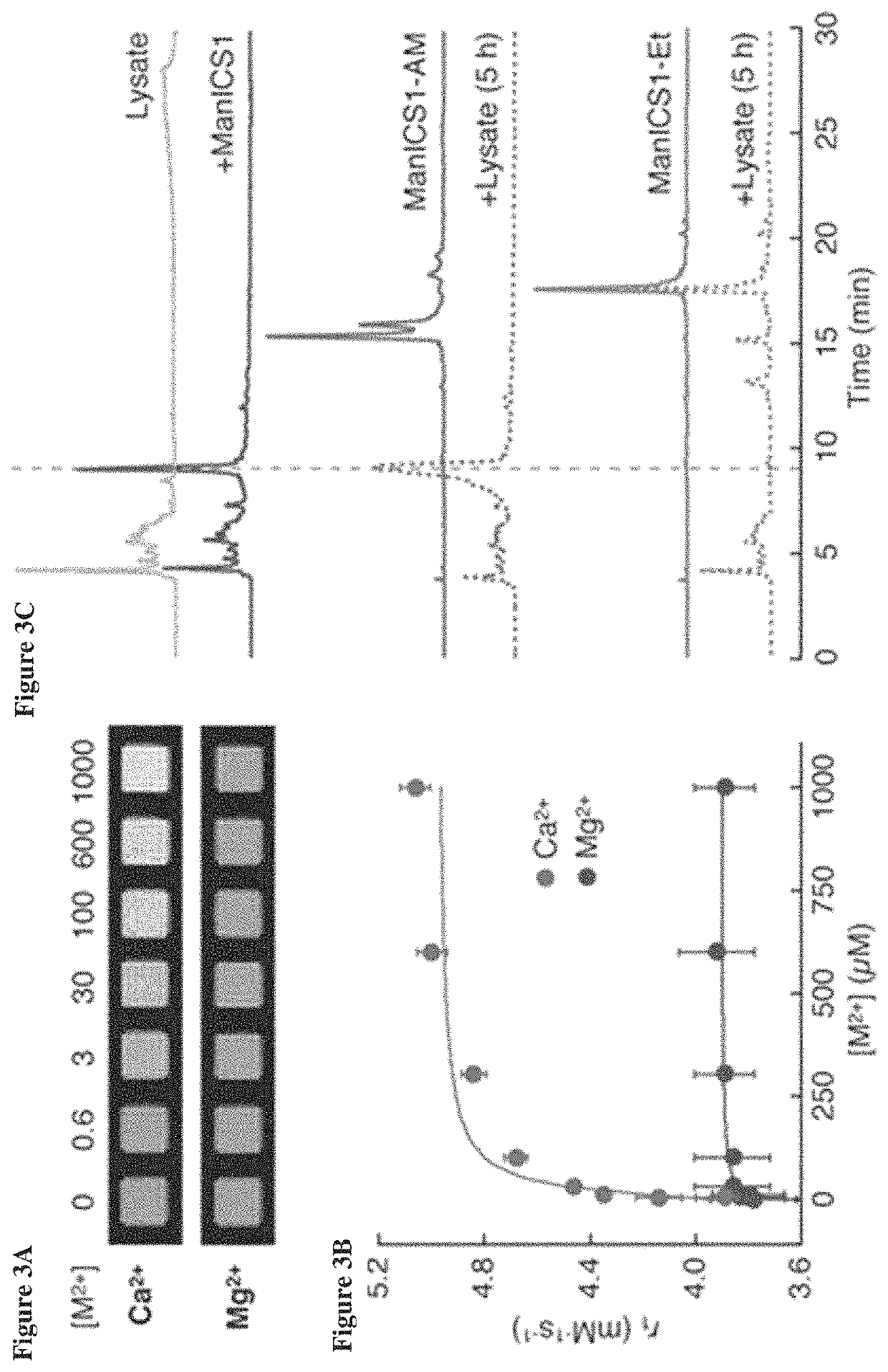 Cell-permeable imaging sensors and uses thereof