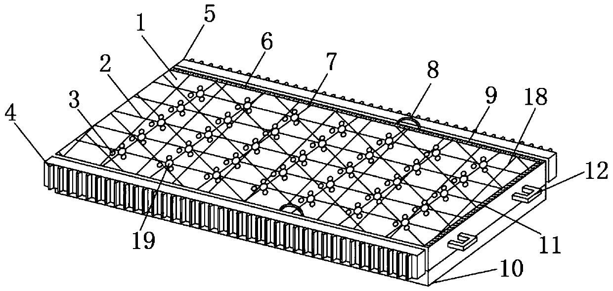 Chinese yam bulbil seedling growing device