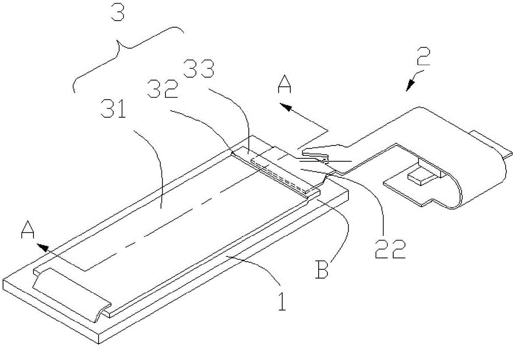 Fingerprint identification apparatus and terminal equipment