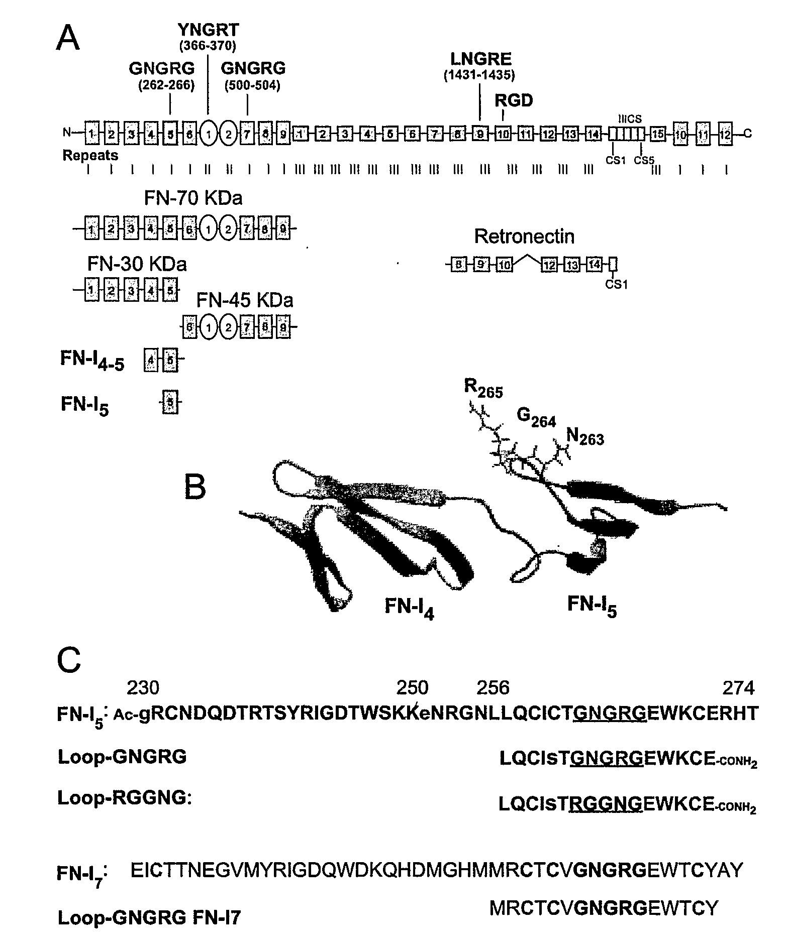 Conjugation Product