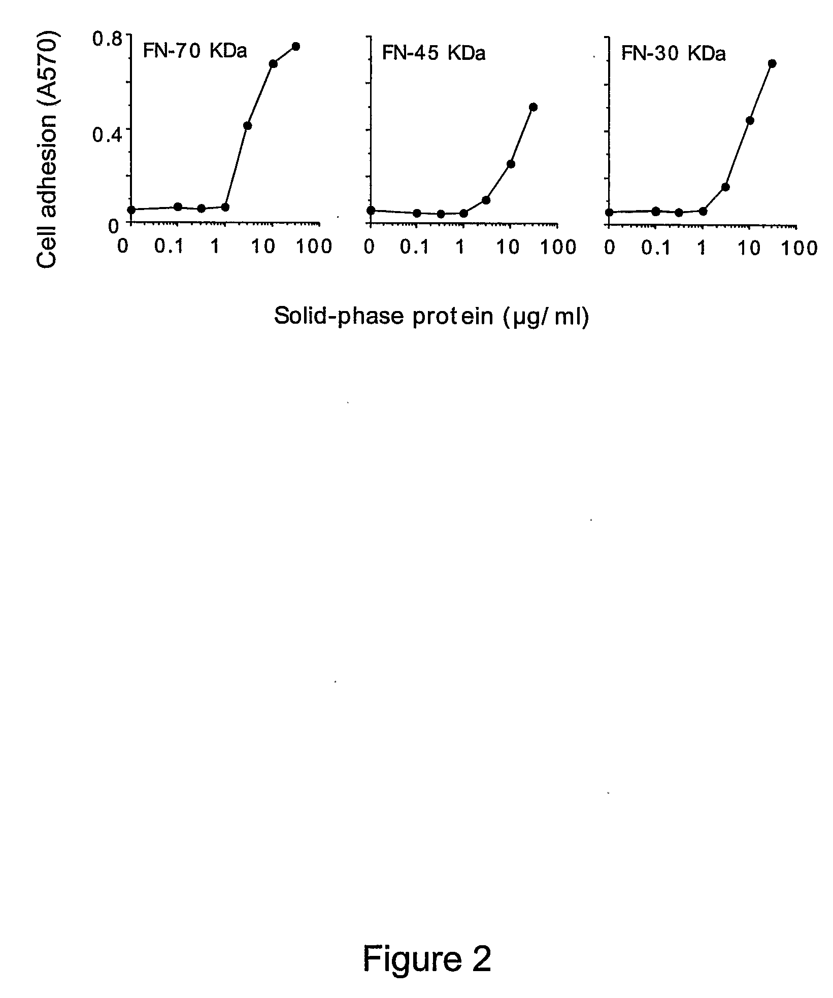 Conjugation Product