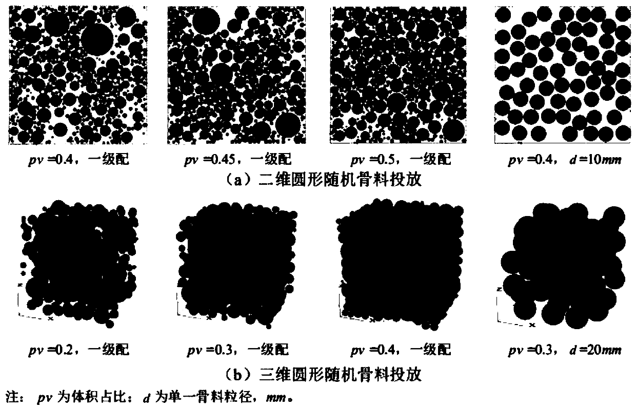 Method for establishing stainless steel bar concrete mesoscopic numerical model