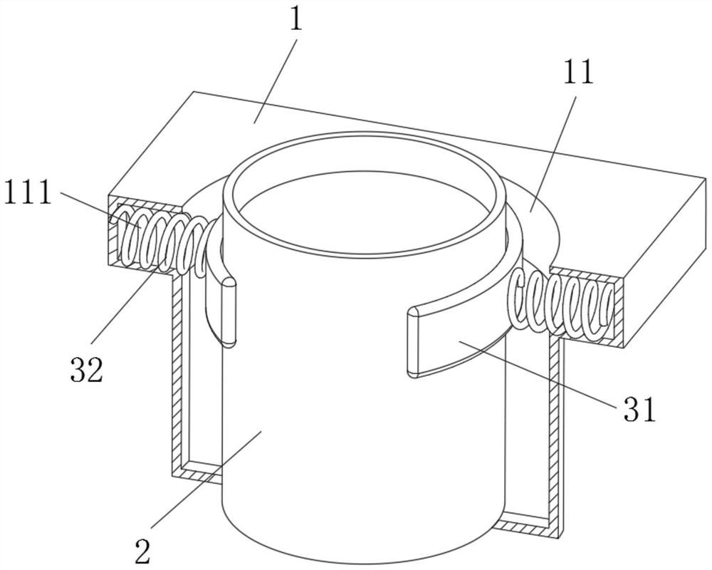 Seedling raising device and seedling raising process