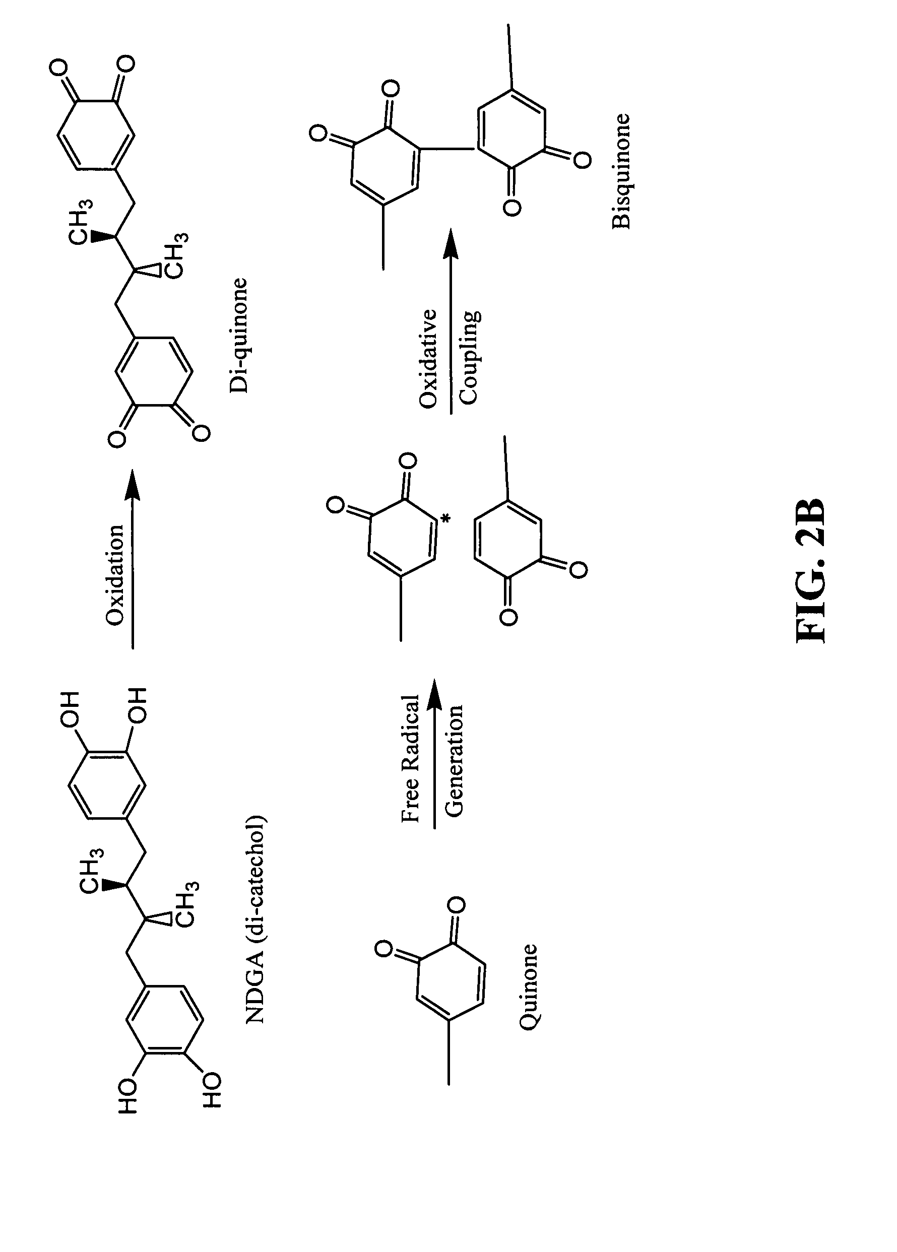 Collagen scaffolds, medical implants with same and methods of use