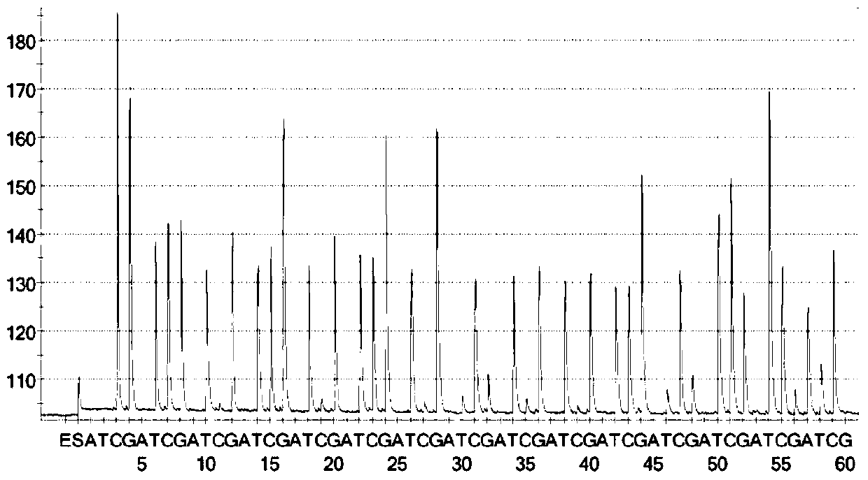 A primer, kit and detection method for detecting channel catfish virus using pyrosequencing technology