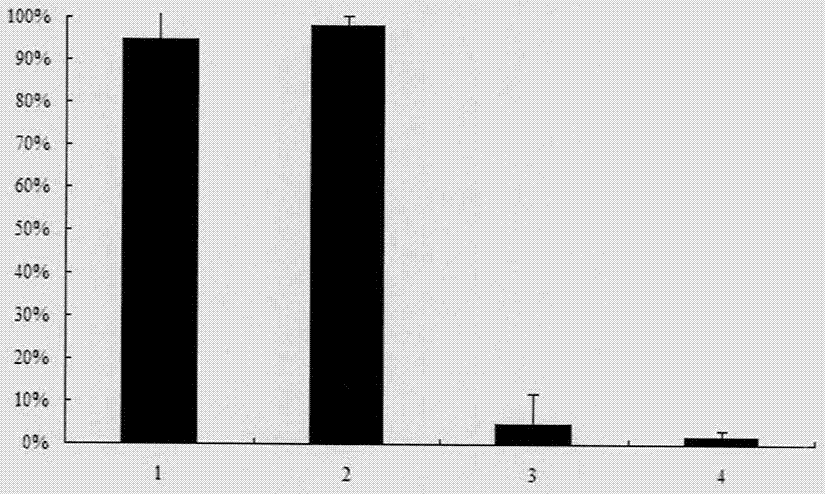 Low-sensitivity glycosylation whey protein hydrolysate and preparation method thereof