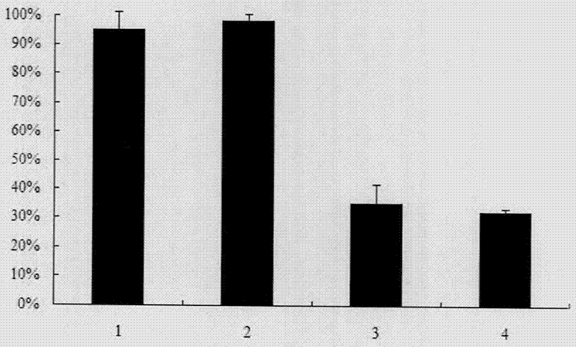 Low-sensitivity glycosylation whey protein hydrolysate and preparation method thereof