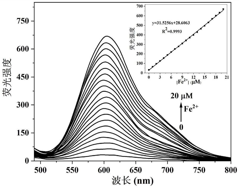 One for detection of fe  <sup>2+</sup> Camphor-based enhanced fluorescent probe and its preparation method and application