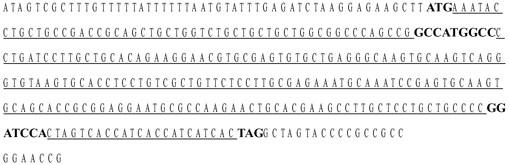 Preparation methods of recombinant sinopotamon metallothionein (rcMT) and monoclonal antibody thereof