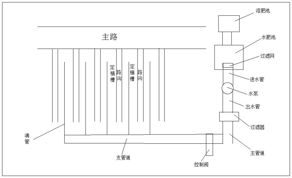 Technology for transforming cold and rotten field on mountain ridge in South China into high-yield melon and fruit orchard