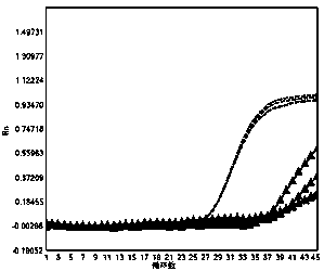 Nucleic acid composition, kit and method for detecting 2019 novel coronaviruses