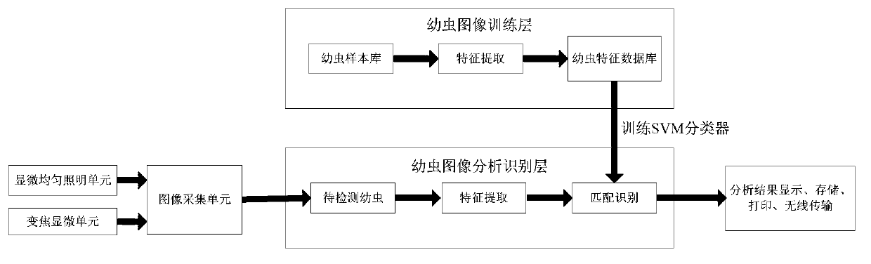 Real-time classifying method of plant quarantine larvae