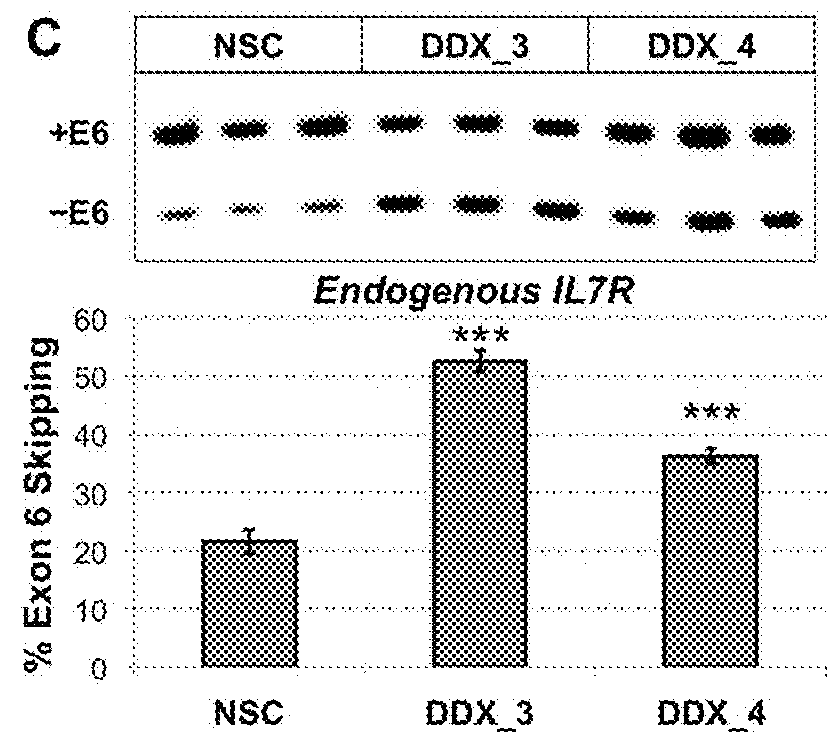 Method to identify subjects at higher risk to develop an autoimmune disease based on genetic and/or phenotypic screening for epistatic variants in ddx39b (rs2523506) and il7r (rs6897932)