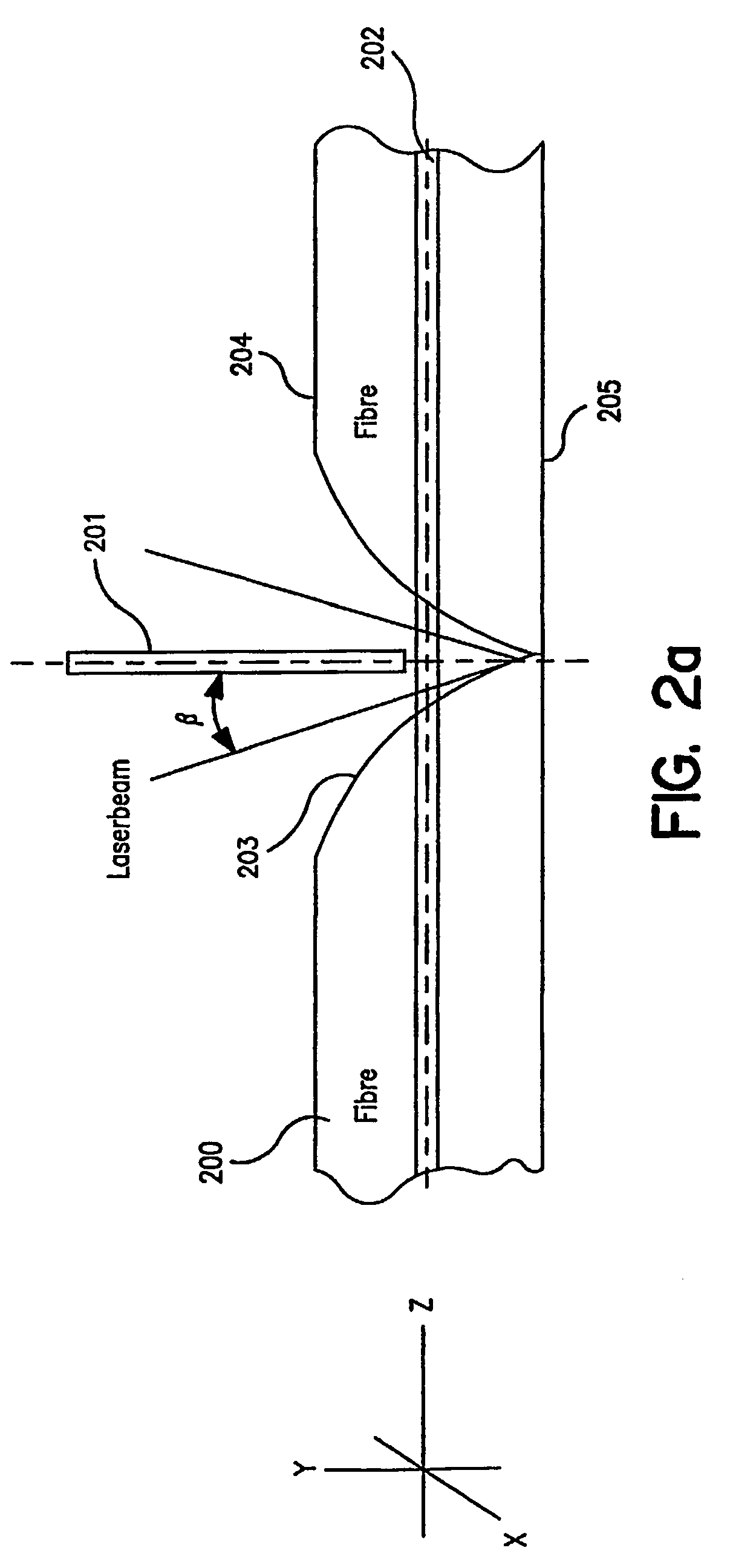 Ferrule assembly