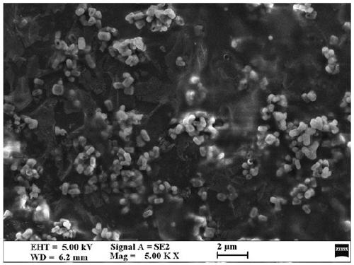 Anti-ultraviolet and anti-fog polyethylene greenhouse film and preparation method thereof