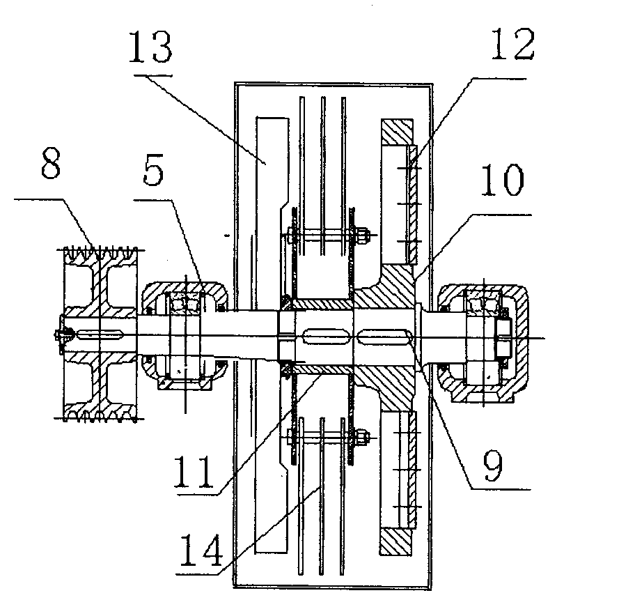 Pretreatment device for solid biomass fuels