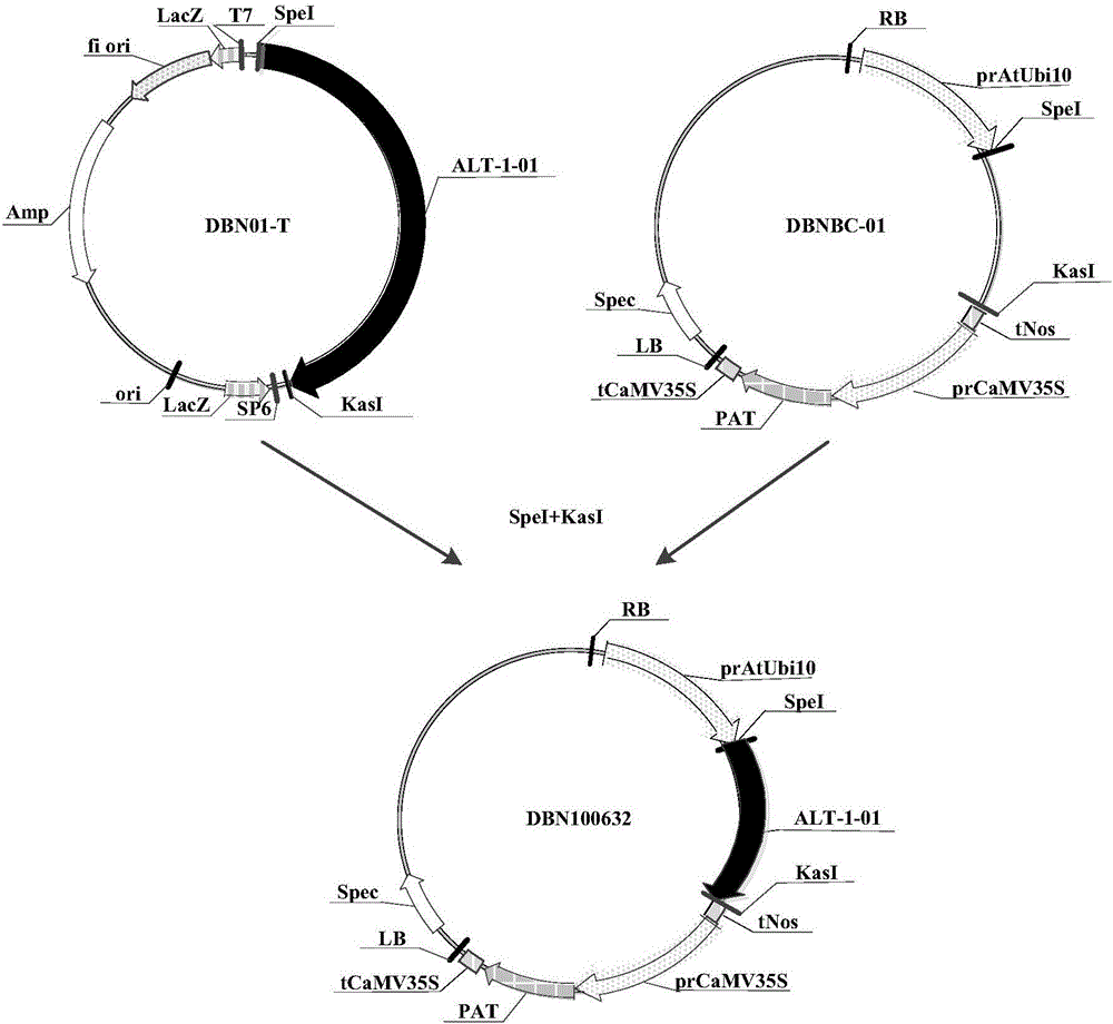 Application of herbicide-tolerance protein