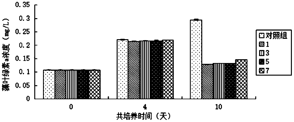 A kind of Scutellaria costa lytic virus and its isolation method and application