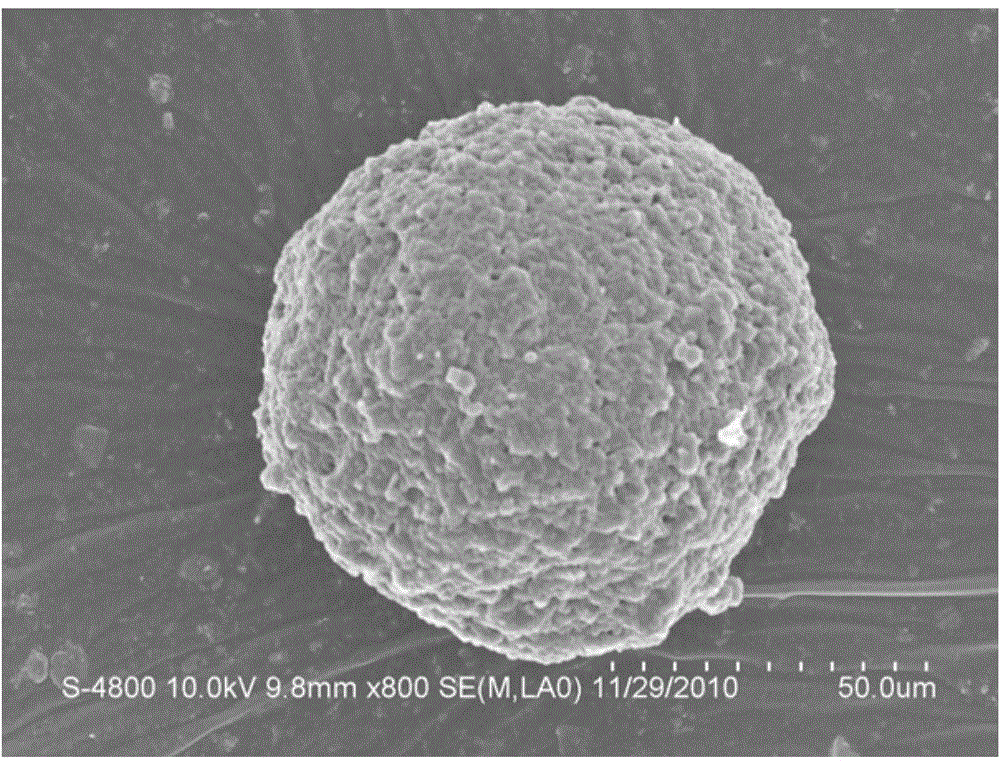 A polypropylene kettle alloy containing nanoparticles that can be used for 3D printing and its preparation method and application