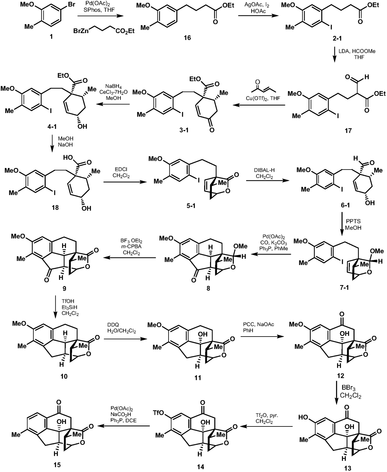 Synthesis method of cephanolide C