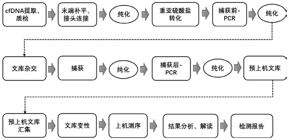 Probe composition for detecting six Chinese high-incidence cancers