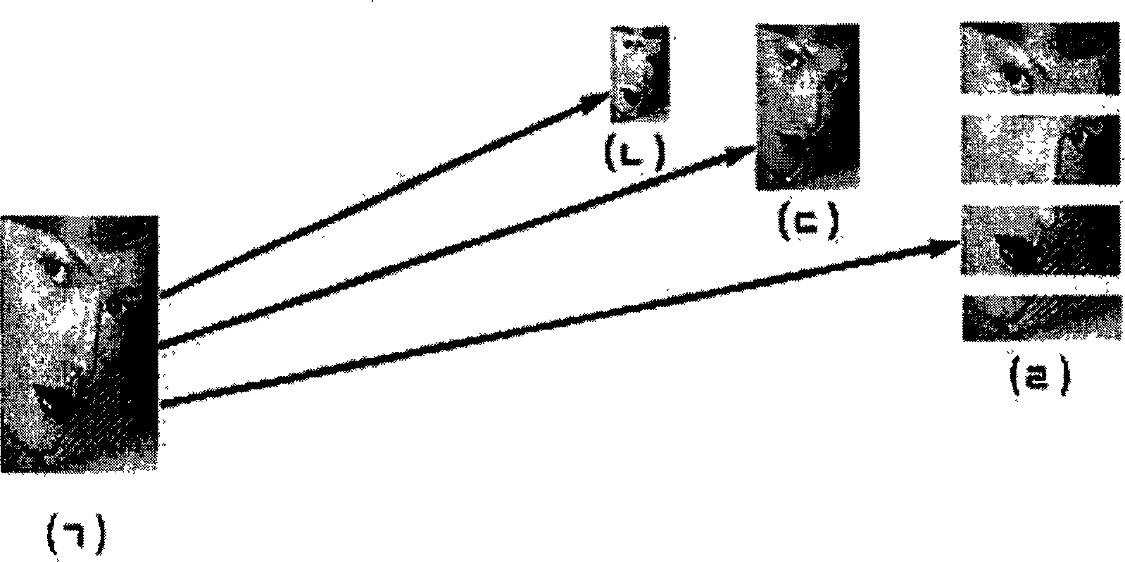 Method of transmitting images for online publication