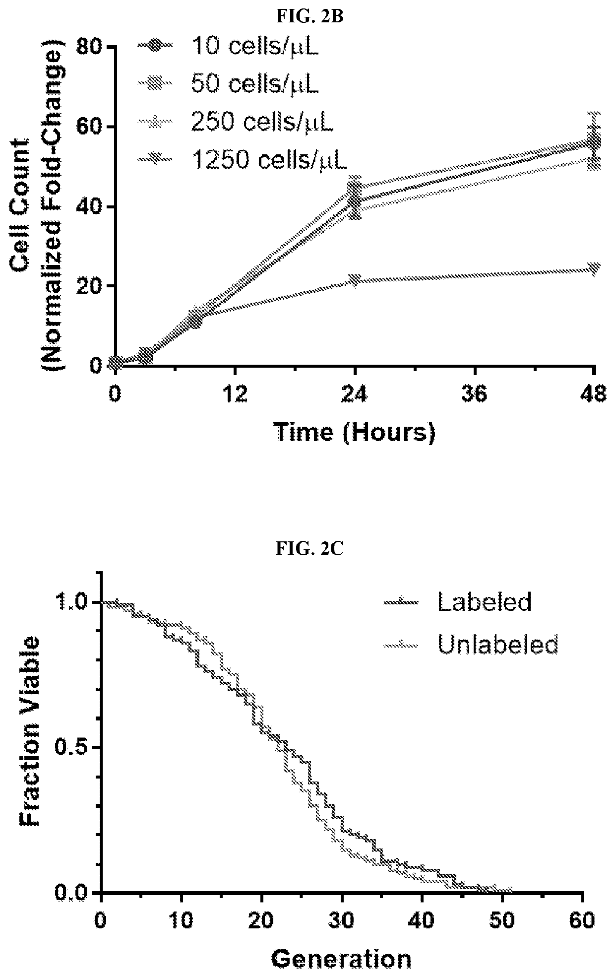 Compounds and compositions for extending lifespan of a subject