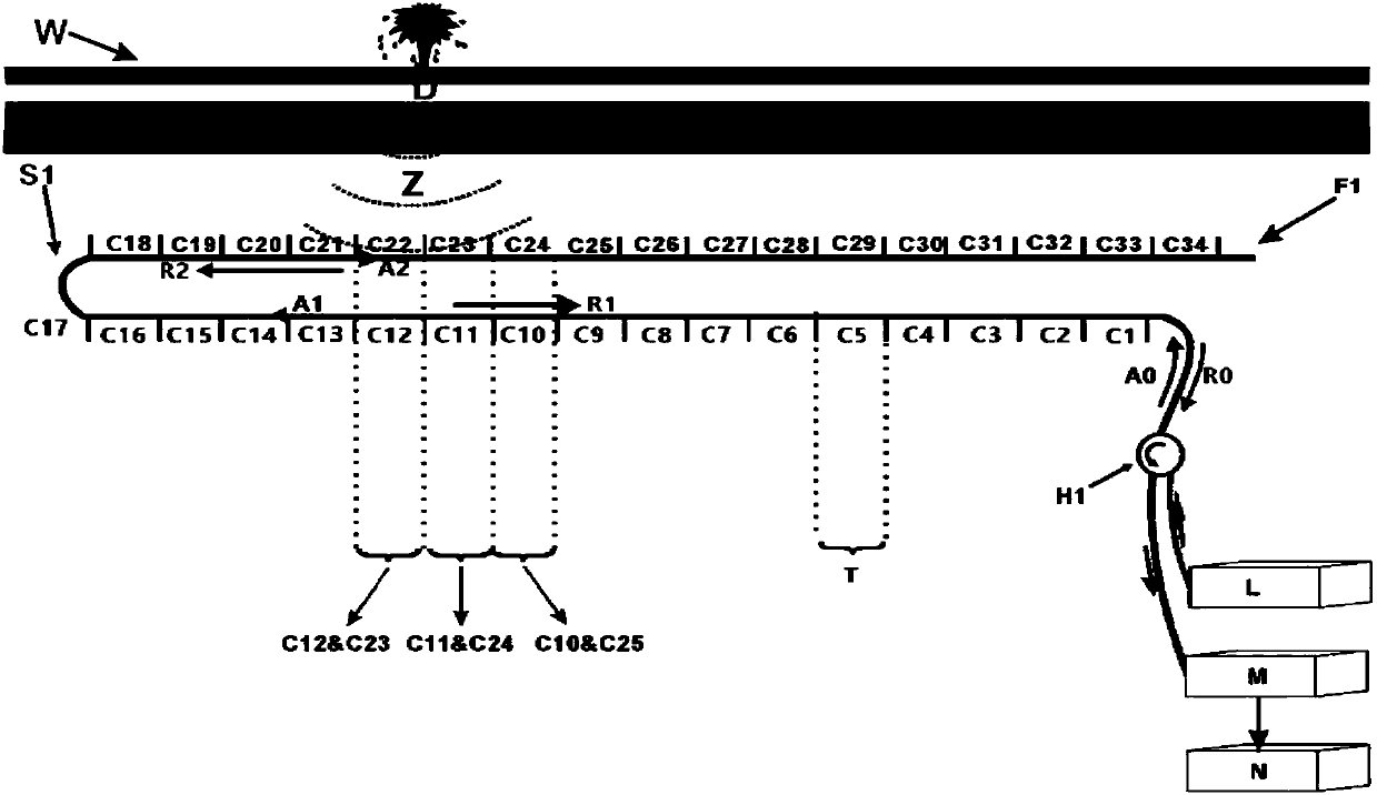 Fiber-sensing-based safety detection method for oil and gas pipeline