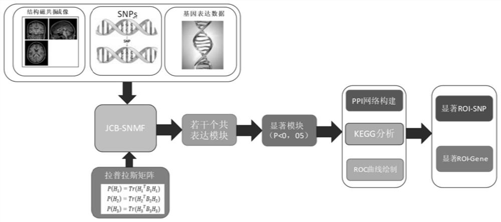 Correlation analysis method for identifying Alzheimer's disease related biomarkers