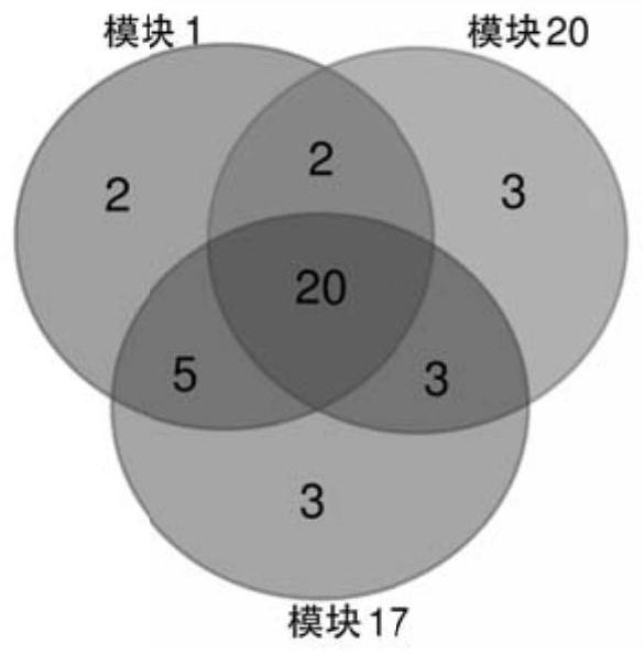 Correlation analysis method for identifying Alzheimer's disease related biomarkers