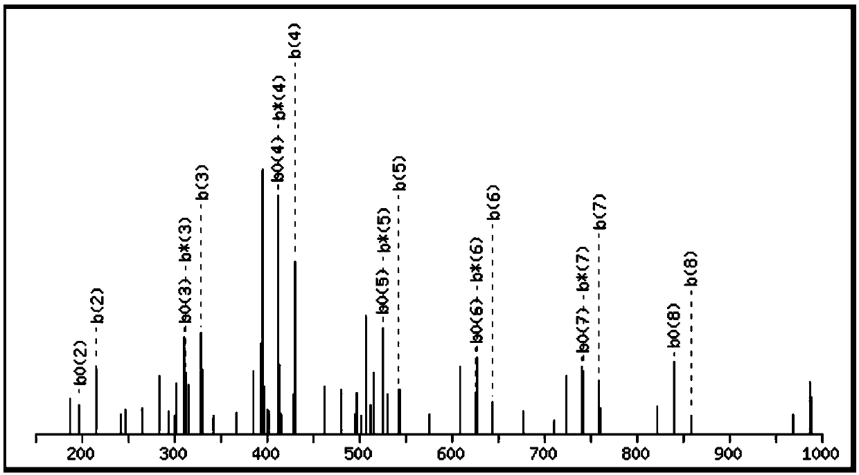 Bioactive polypeptide QSLTLTDVE, preparation method thereof and application of bioactive polypeptide