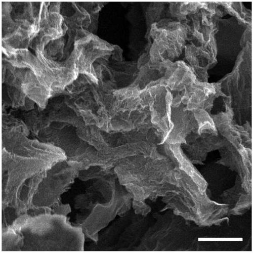 Electroreduction carbon dioxide catalytic material as well as preparation and application thereof