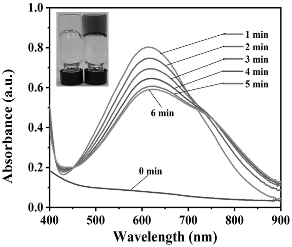 Composite gel for treatment and evaluation of chronic wounds and preparation method of composite gel