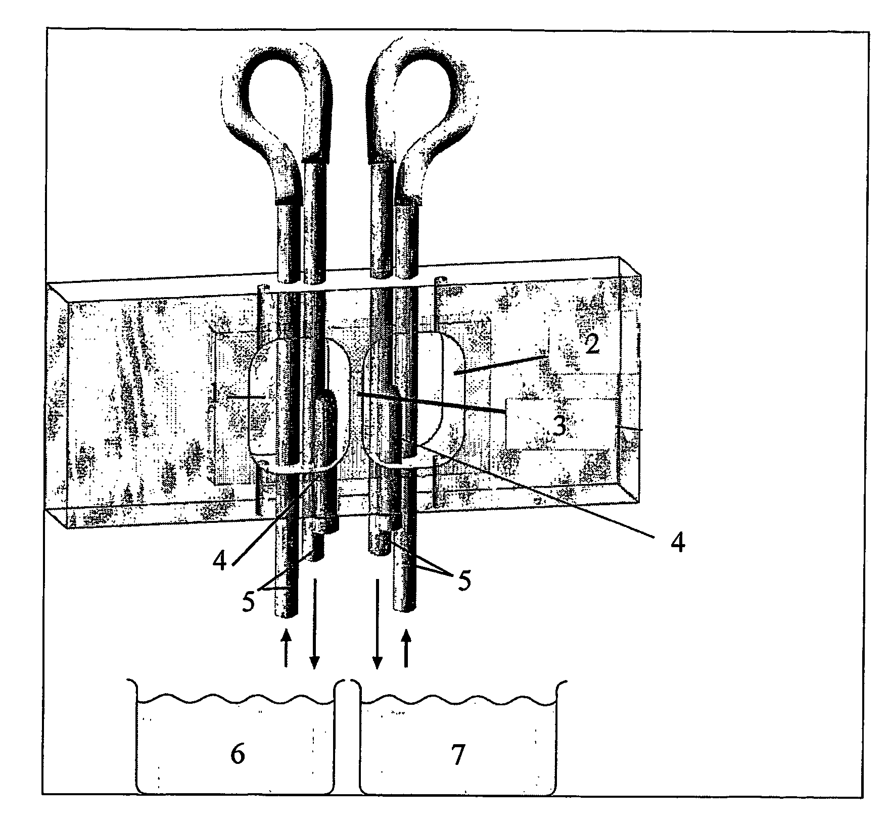 Apparatus and Methods For Selecting Capacitated Spermatozoa and Uses Thereof