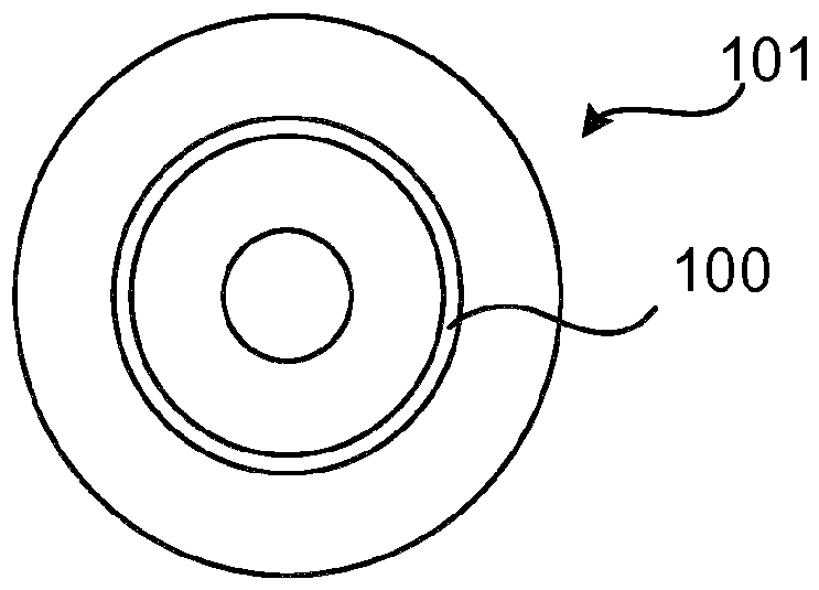 Implanted agent within a first service container for enabling a reverse proxy on a second container