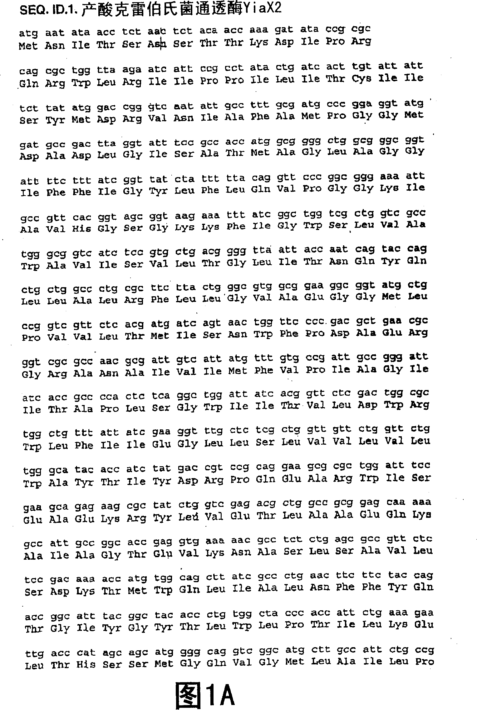 Enhanced 2-keto-L-gulonic acid production