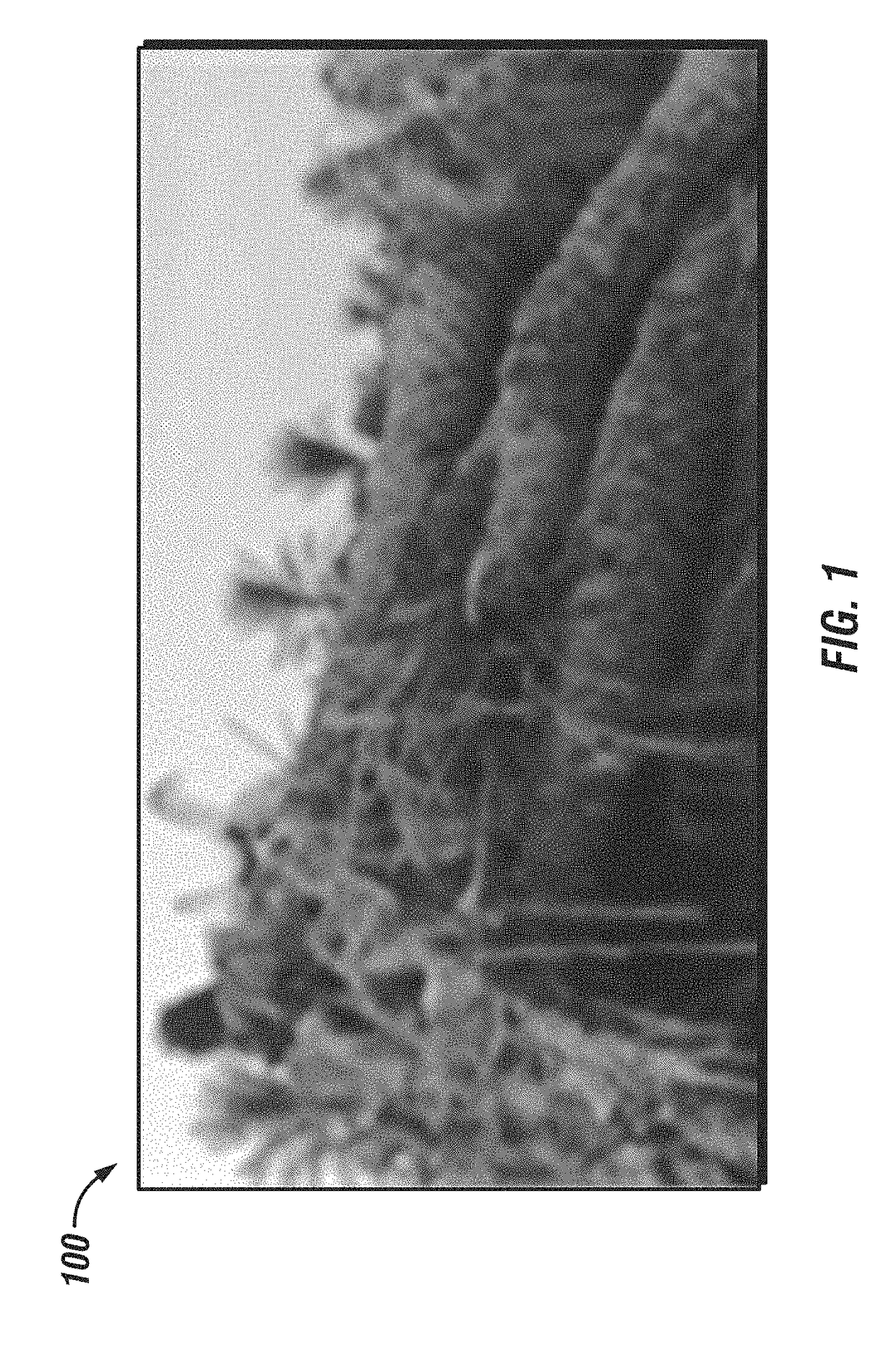 Date Tree Waste-Based Compound Fibrous LCMs