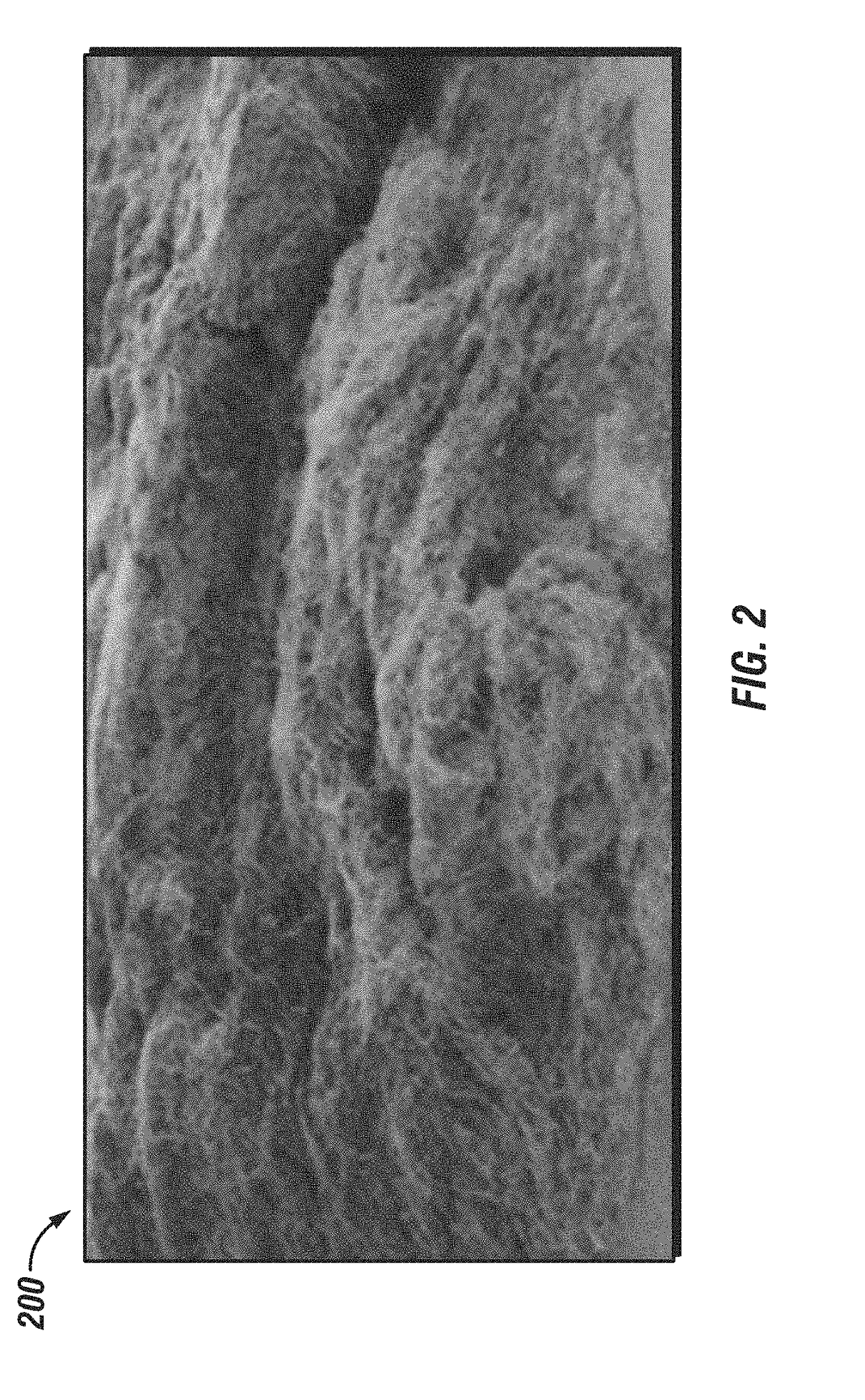 Date Tree Waste-Based Compound Fibrous LCMs