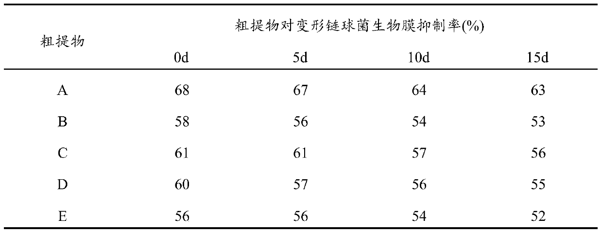 A fermented crude extract of Streptococcus salivarius and its preparation method and application